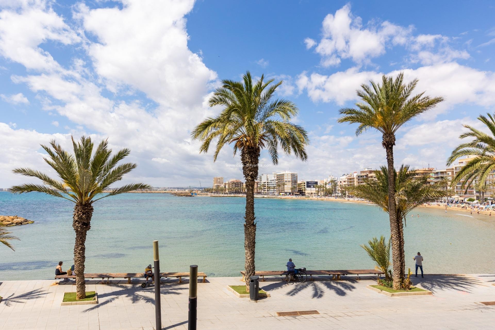 Revente - Appartement - Torrevieja - Costa Blanca