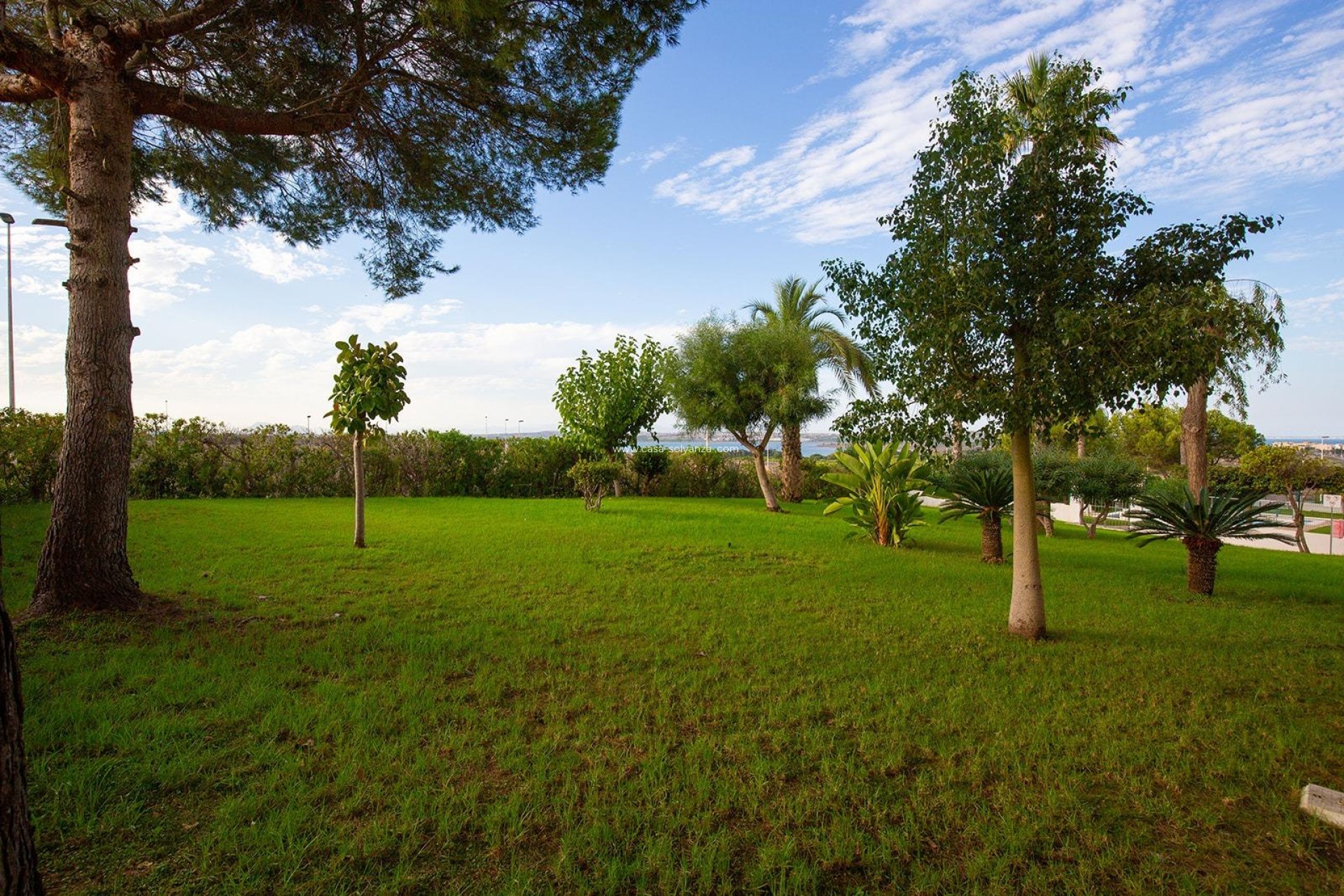 Revente - Appartement - Torrevieja - Costa Blanca