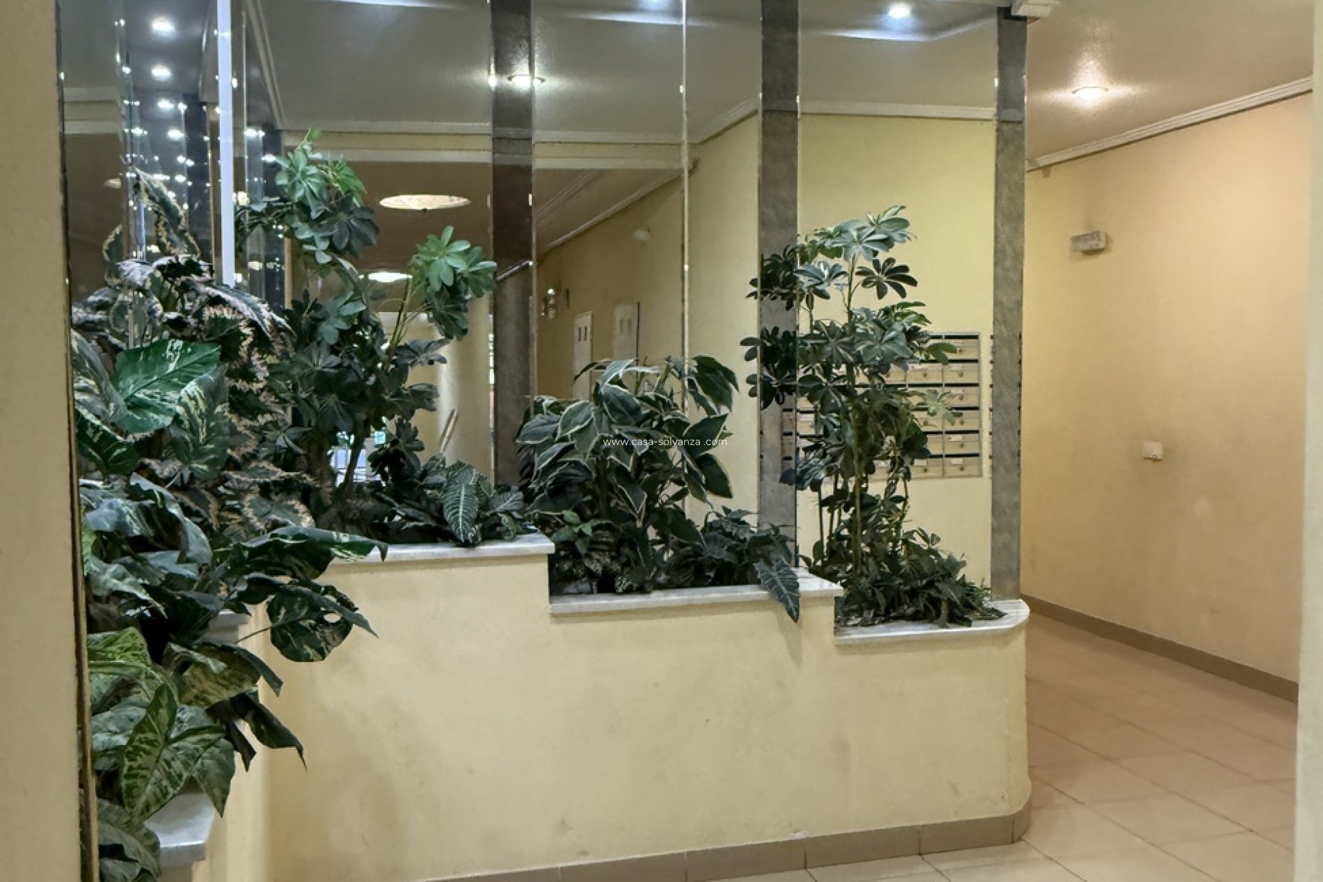 Revente - Appartement - Torrevieja - Costa Blanca