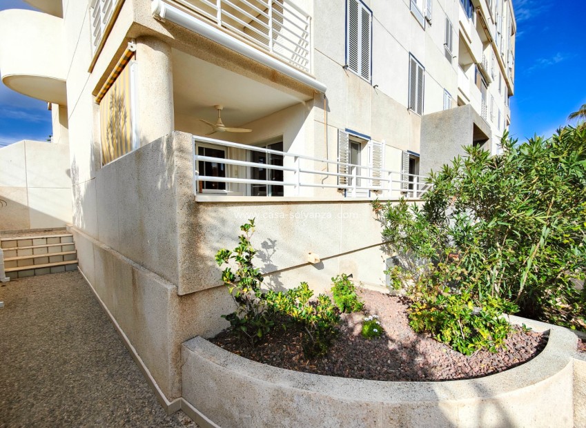 Revente - Appartement - Torrevieja - Costa Blanca