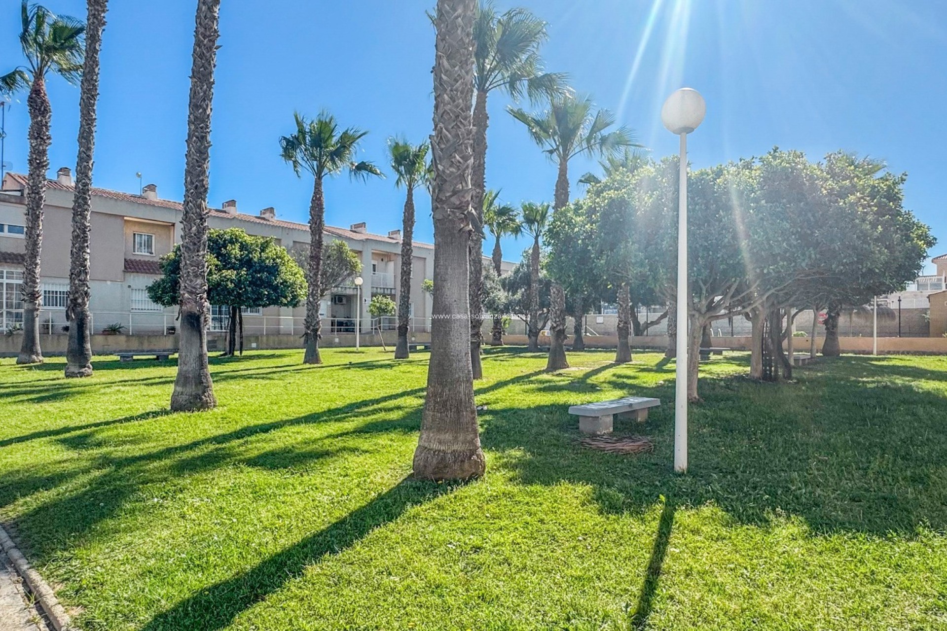 Revente - Appartement - Torrevieja - Costa Blanca