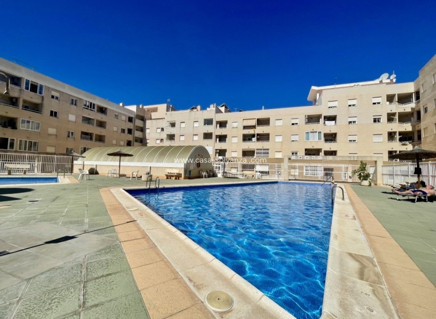 Revente - Appartement - Torrevieja - Costa Blanca