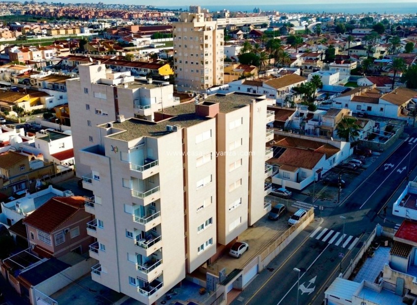 Revente - Appartement - Torrevieja - Costa Blanca