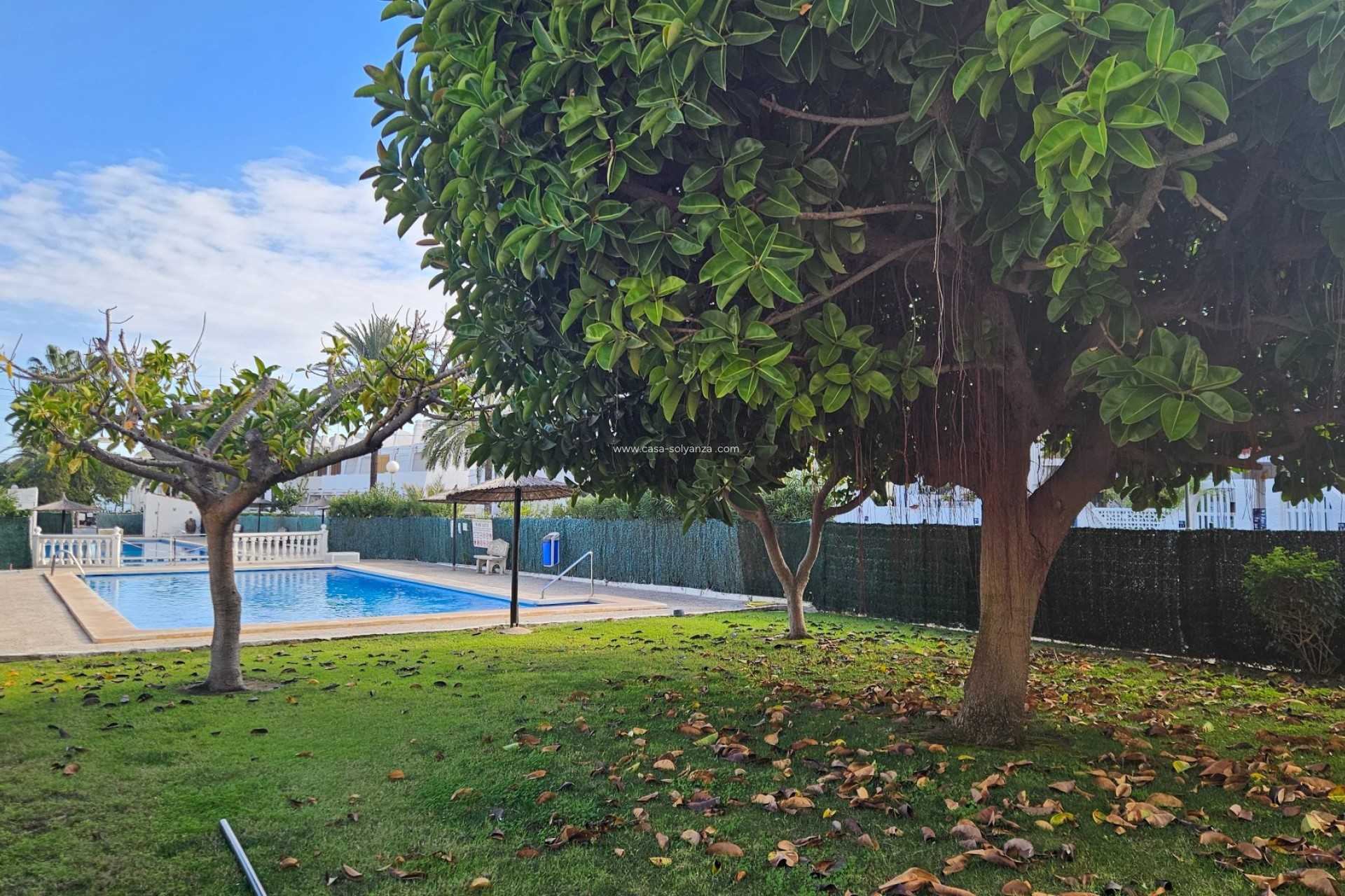 Revente - Appartement - Torrevieja - Costa Blanca
