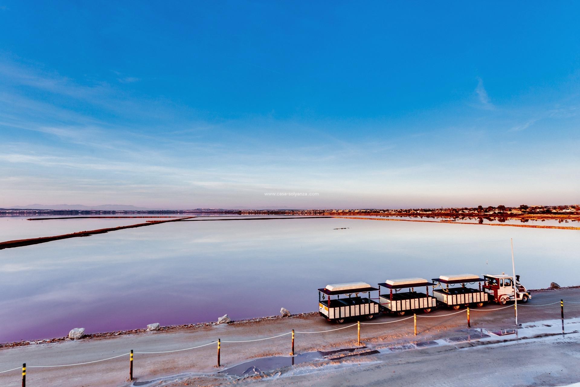 Revente - Appartement - Torrevieja - El Limonar