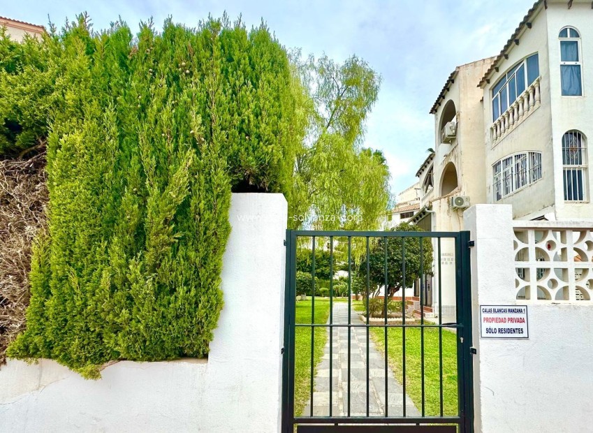 Revente - Appartement - Torrevieja - Estacion Autobuses