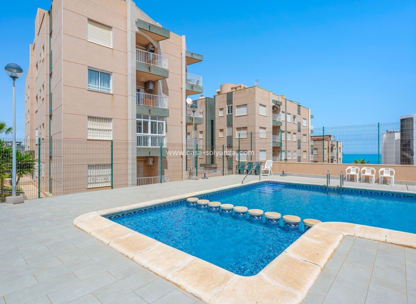 Revente - Appartement - Torrevieja - La Mata