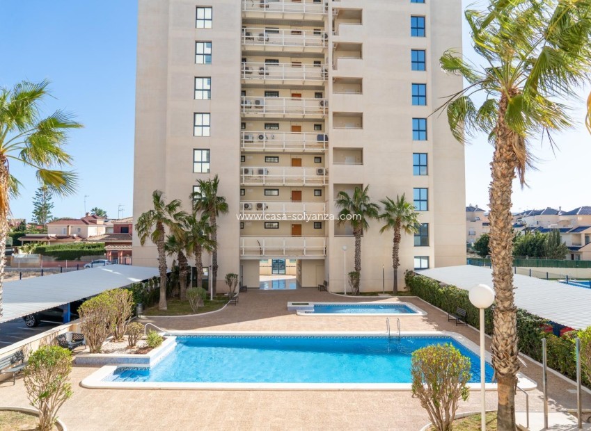 Revente - Appartement - Torrevieja - La veleta