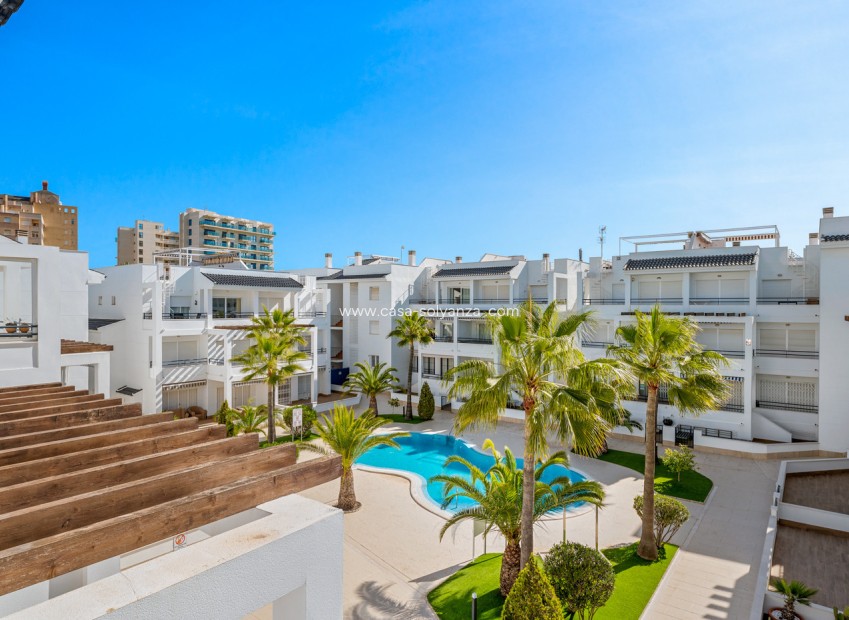 Revente - Appartement - Torrevieja - La veleta
