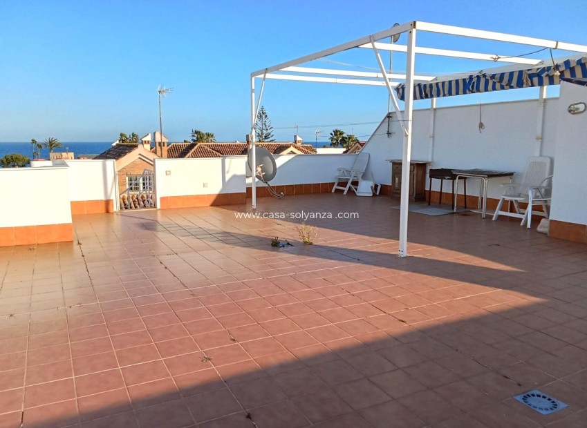Revente - Appartement - Torrevieja - La veleta