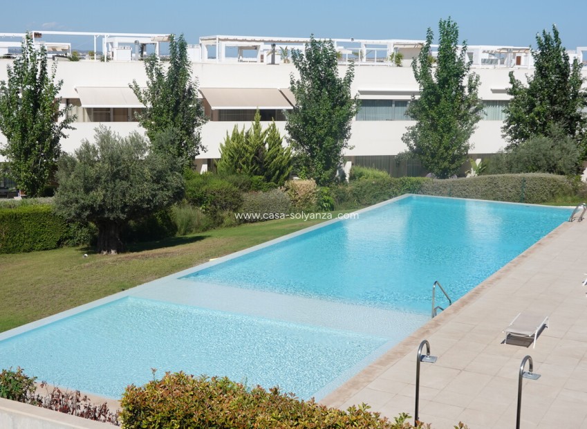Revente - Appartement - Torrevieja - Los Balcones
