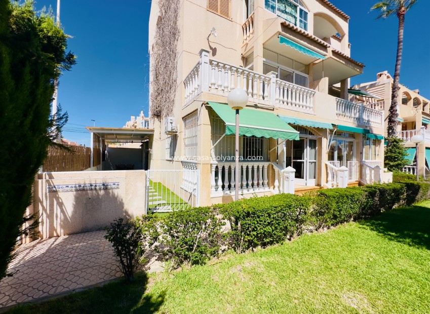 Revente - Appartement - Torrevieja - Los Frutales