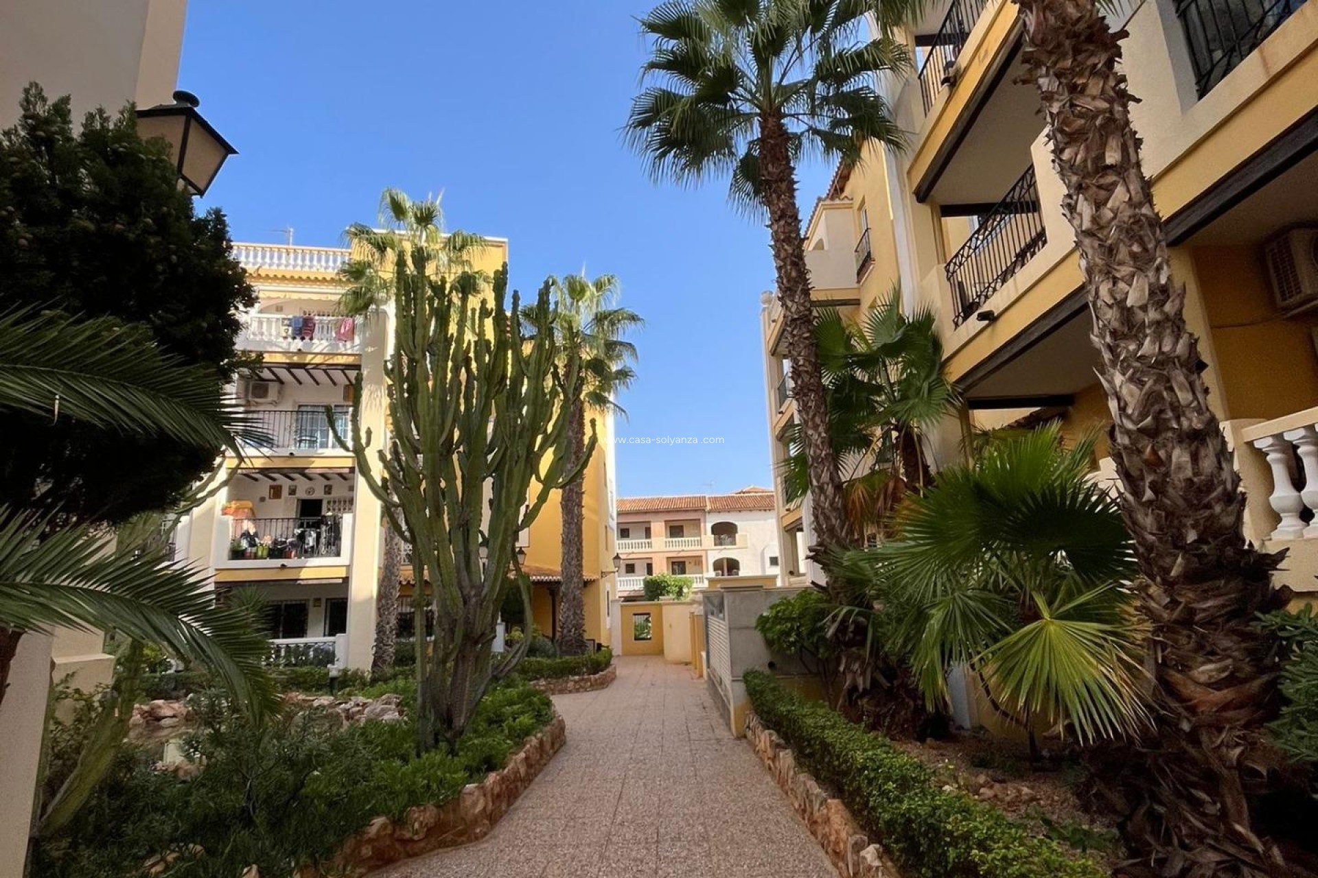 Revente - Appartement - Torrevieja - Los Frutales