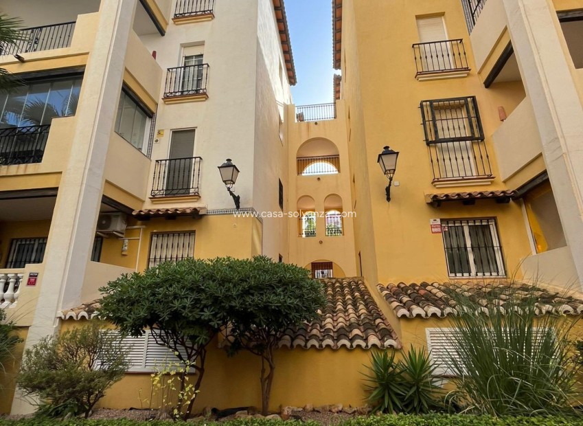 Revente - Appartement - Torrevieja - Los Frutales