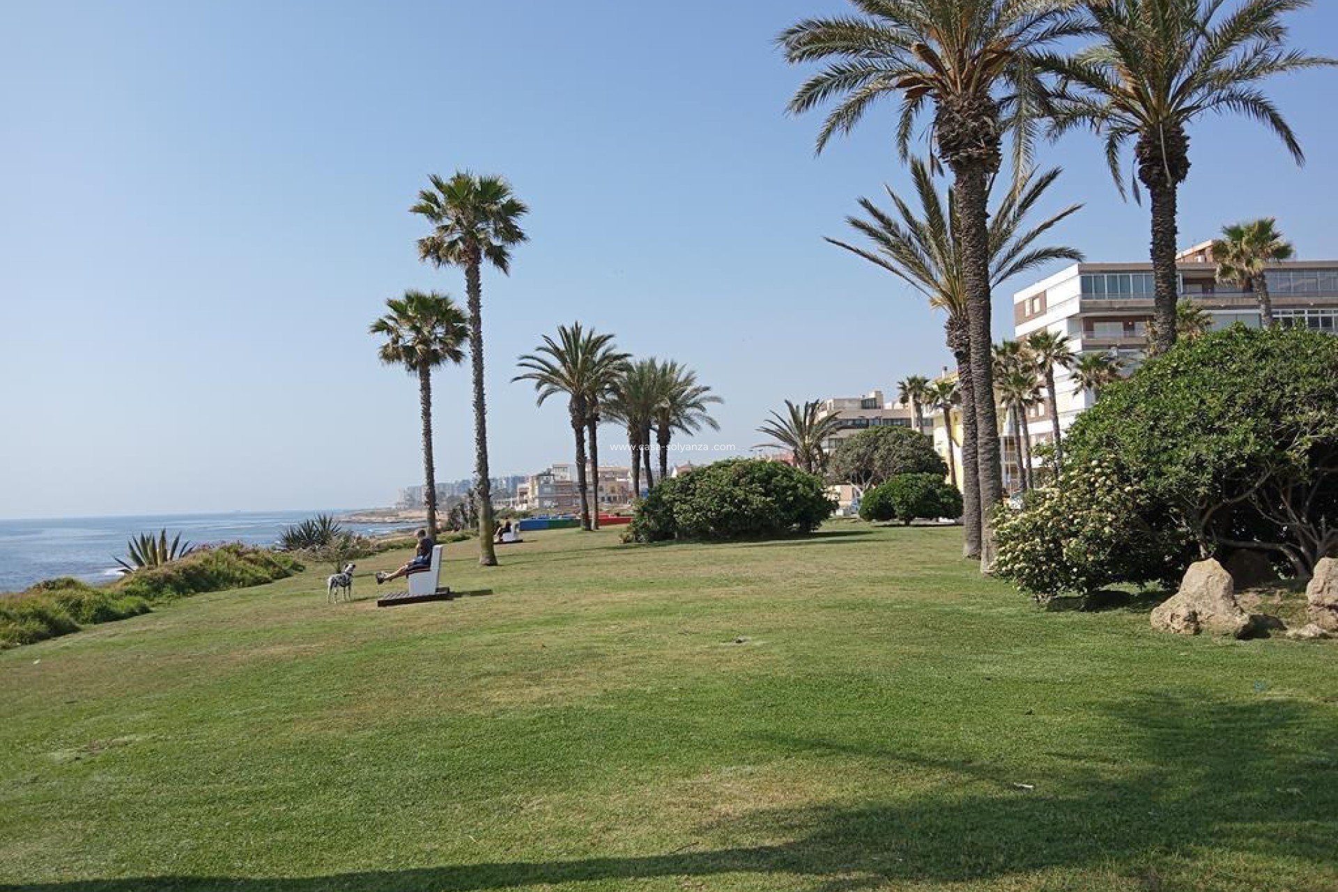 Revente - Appartement - Torrevieja - MAR AZUL LA VELETA