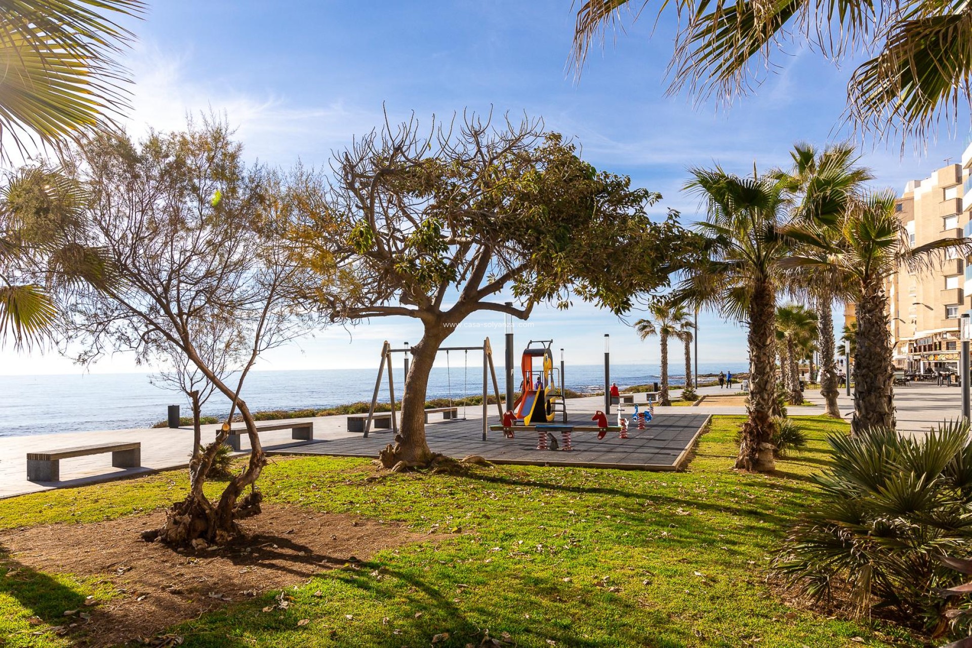 Revente - Appartement - Torrevieja - PARQUE DE LAS NACIONES