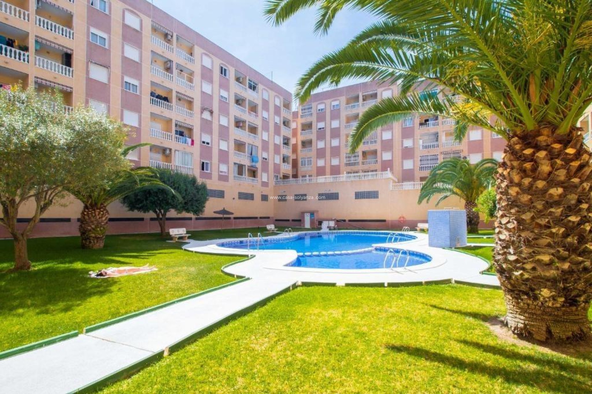 Revente - Appartement - Torrevieja - PARQUE DE LAS NACIONES