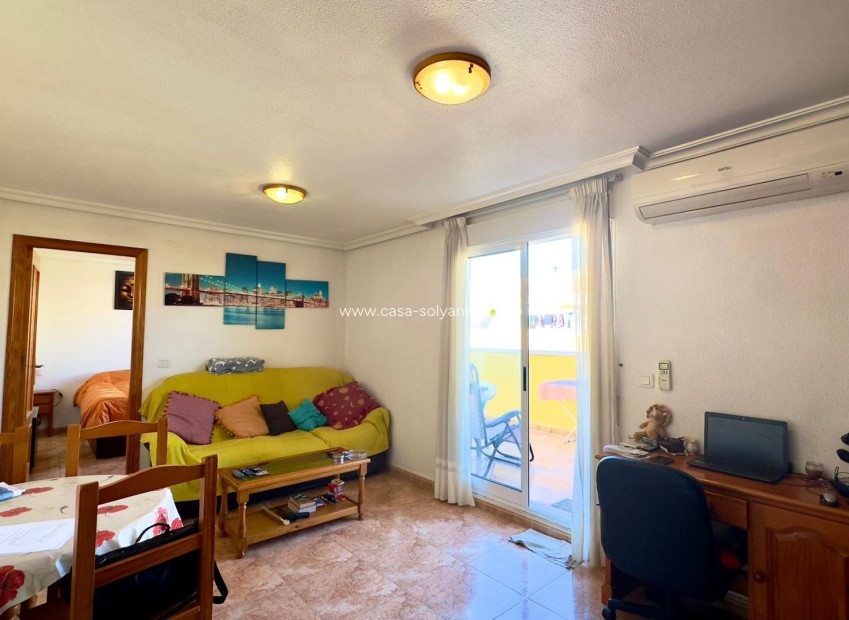 Revente - Appartement - Torrevieja - PARQUE DE LAS NACIONES