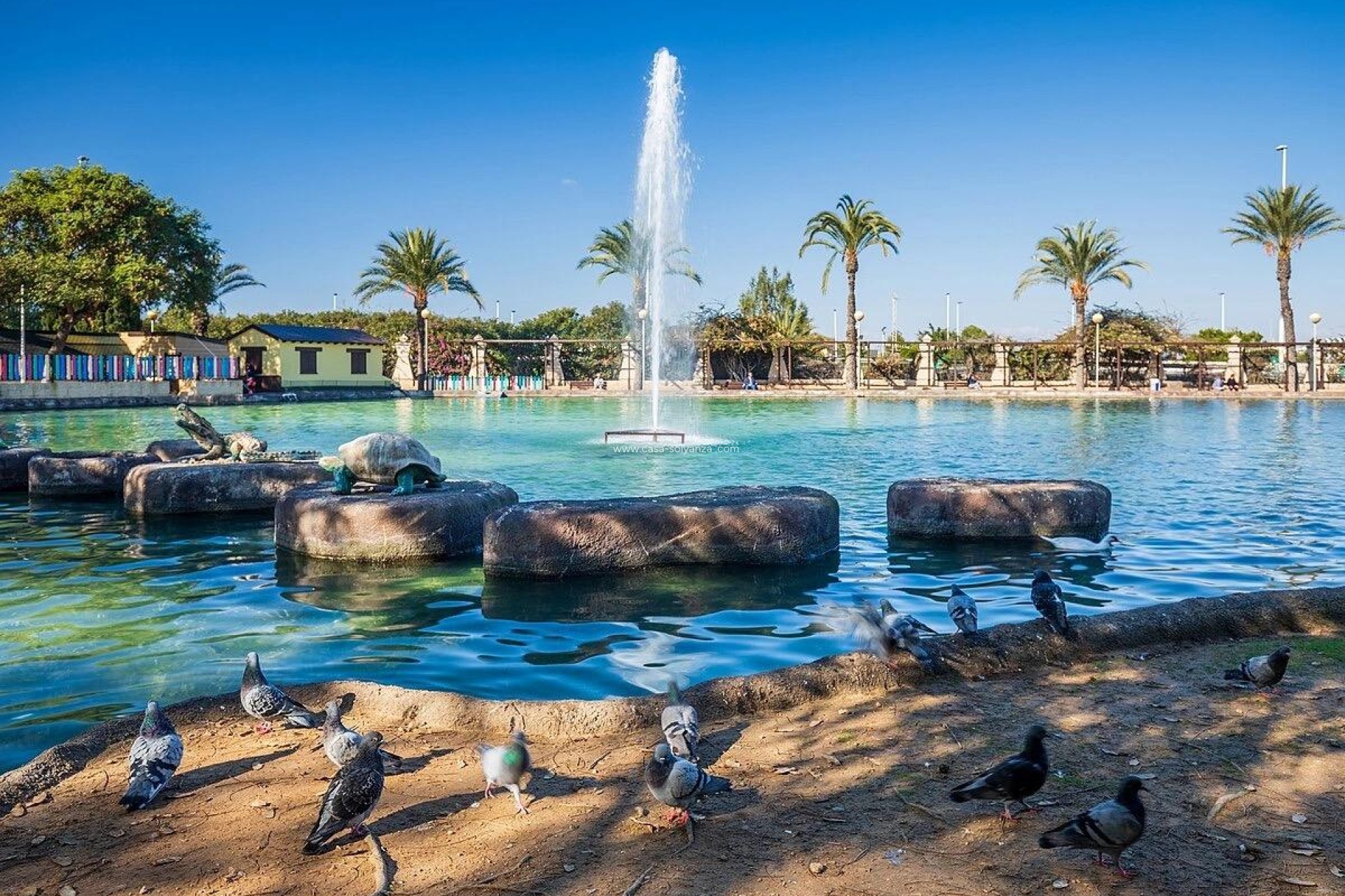 Revente - Appartement - Torrevieja - Parque Las Naciones