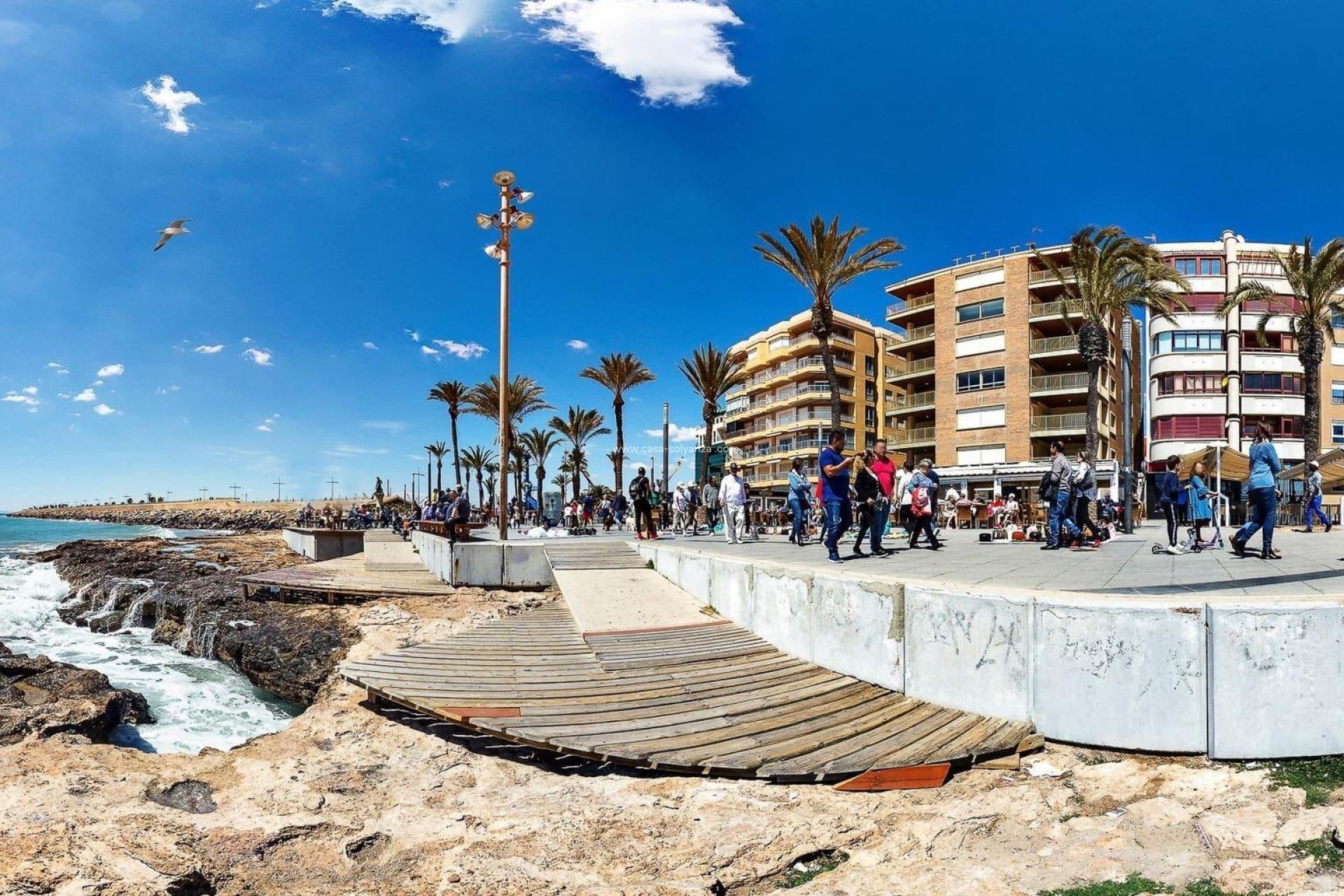 Revente - Appartement - Torrevieja - Paseo Maritimo