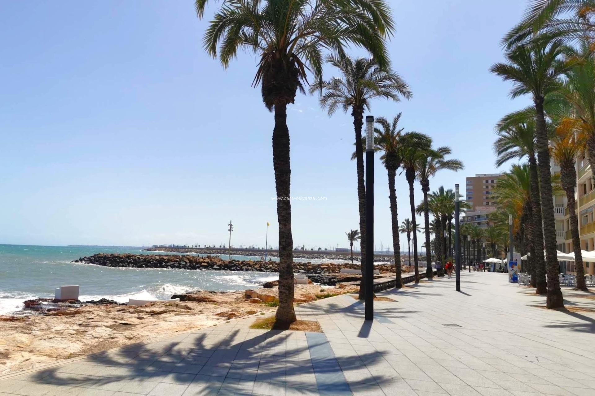 Revente - Appartement - Torrevieja - Paseo Maritimo