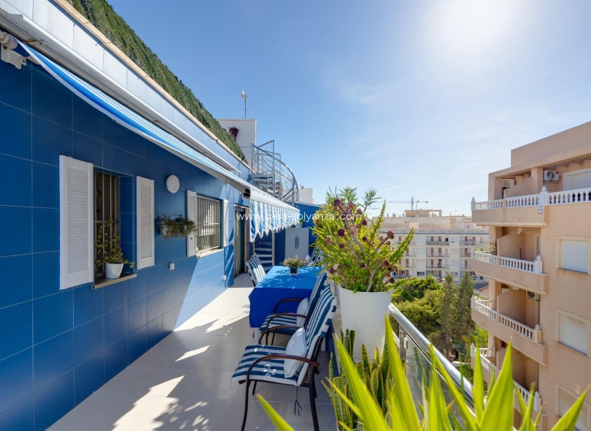 Revente - Appartement - Torrevieja - Playa de los Locos