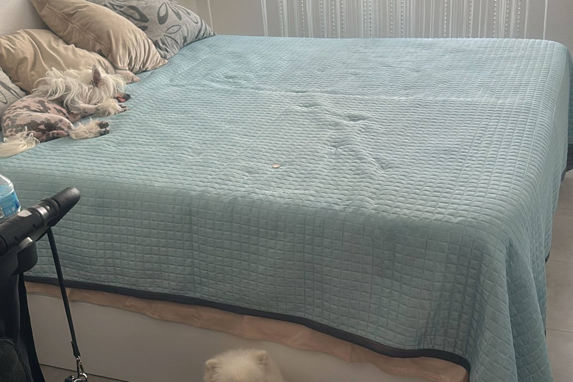 Revente - Appartement - Torrevieja - Playa de los Locos