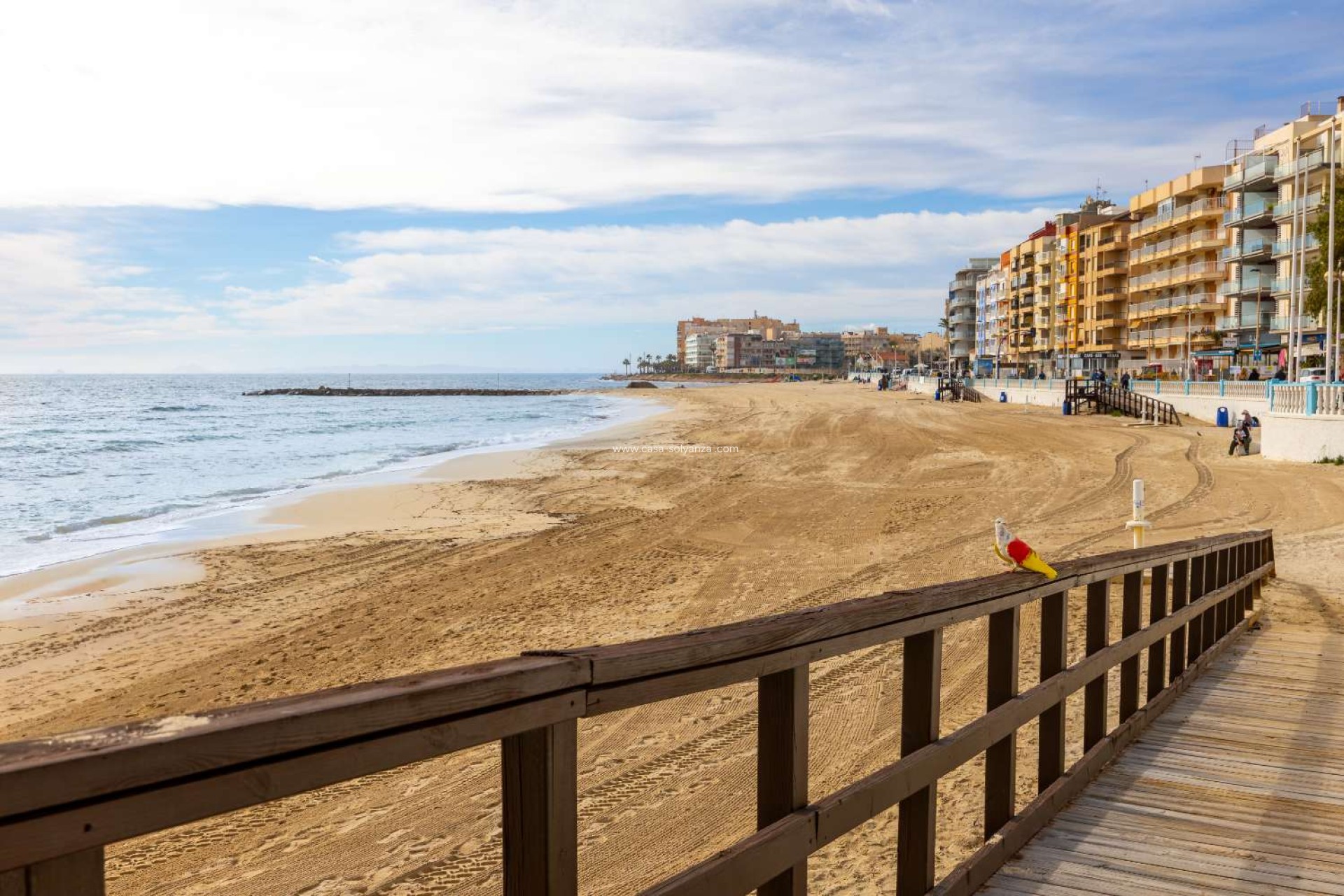 Revente - Appartement - Torrevieja - Playa de los Locos