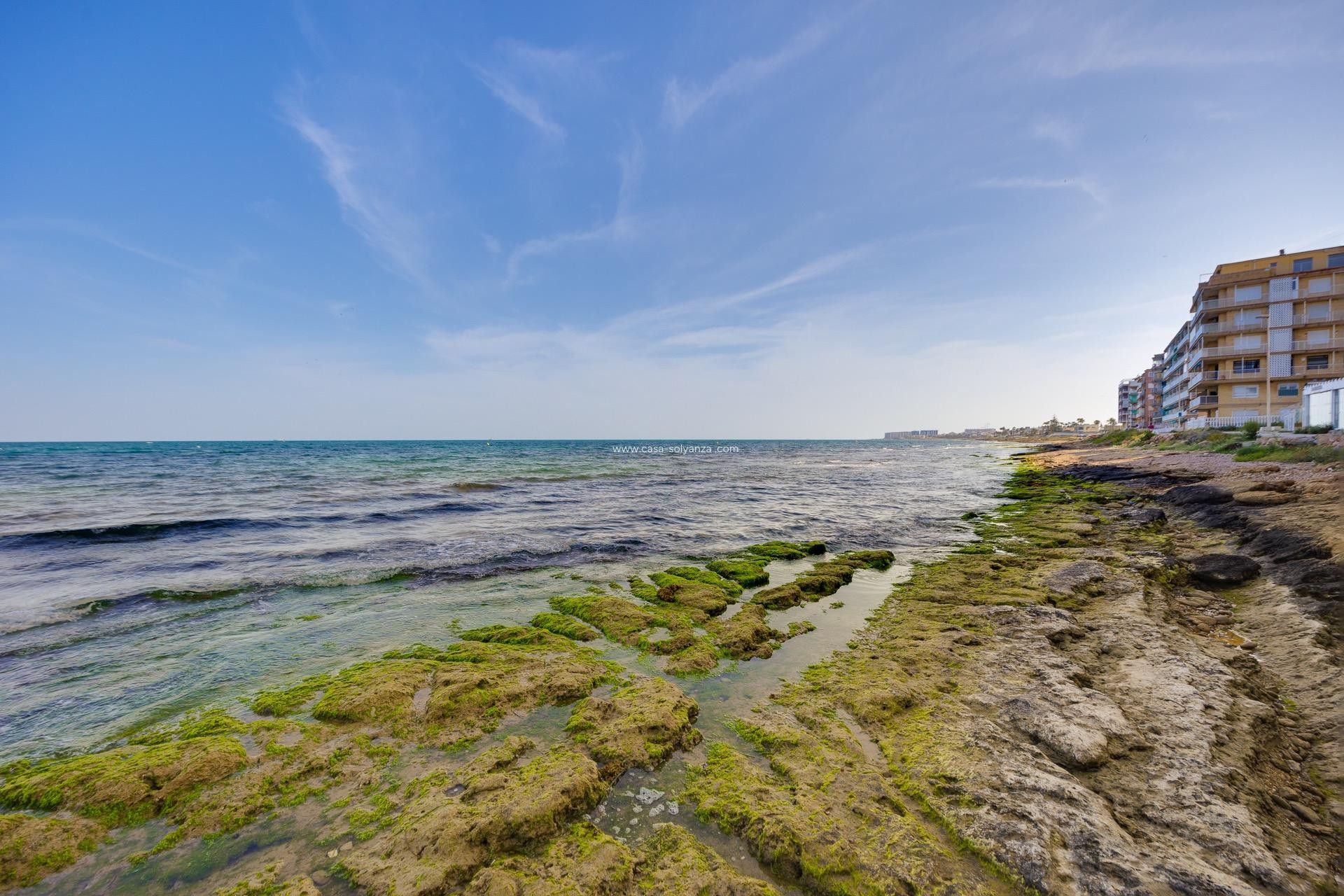 Revente - Appartement - Torrevieja - Playa De Los Naufragos