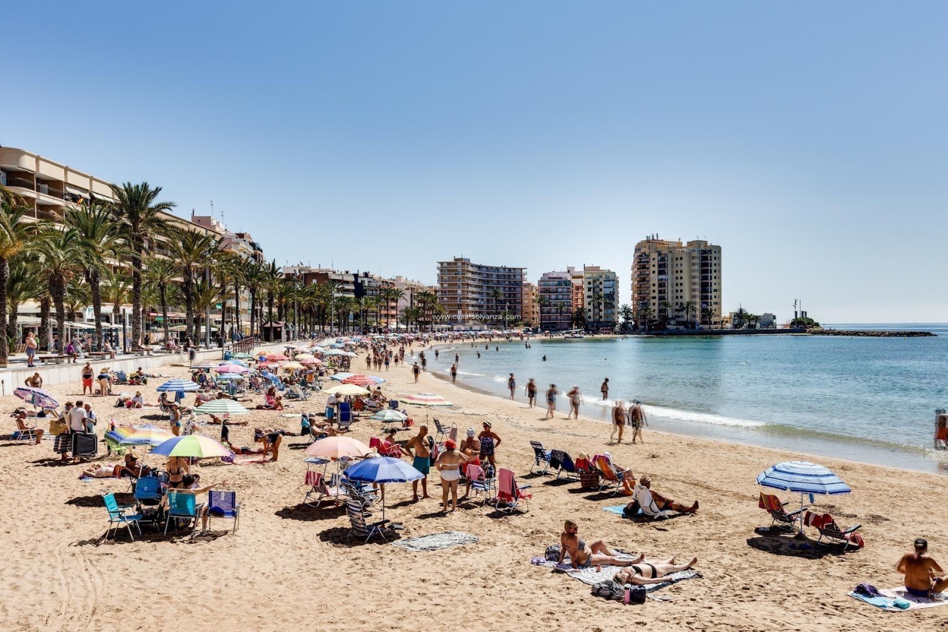 Revente - Appartement - Torrevieja - Playa del Cura