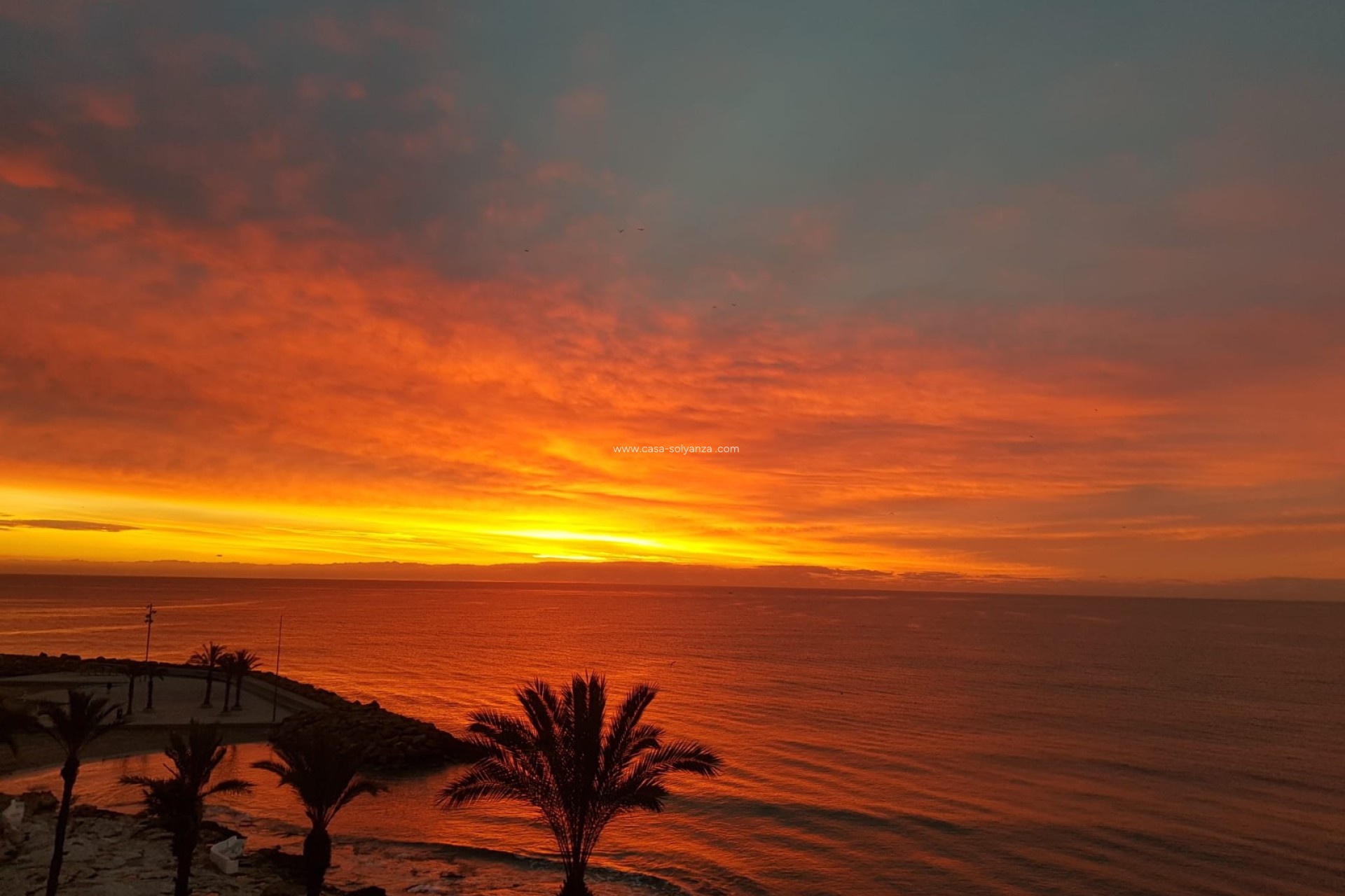Revente - Appartement - Torrevieja - Playa del Cura