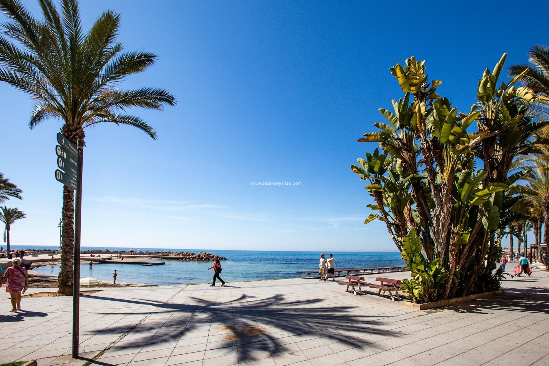 Revente - Appartement - Torrevieja - Playa del Cura
