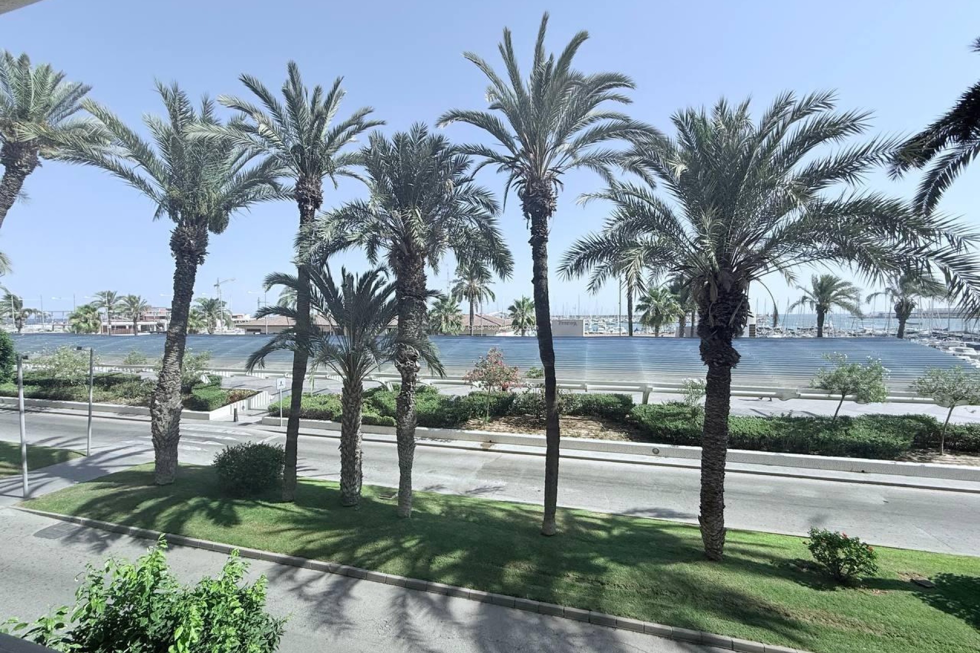 Revente - Appartement - Torrevieja - Puerto