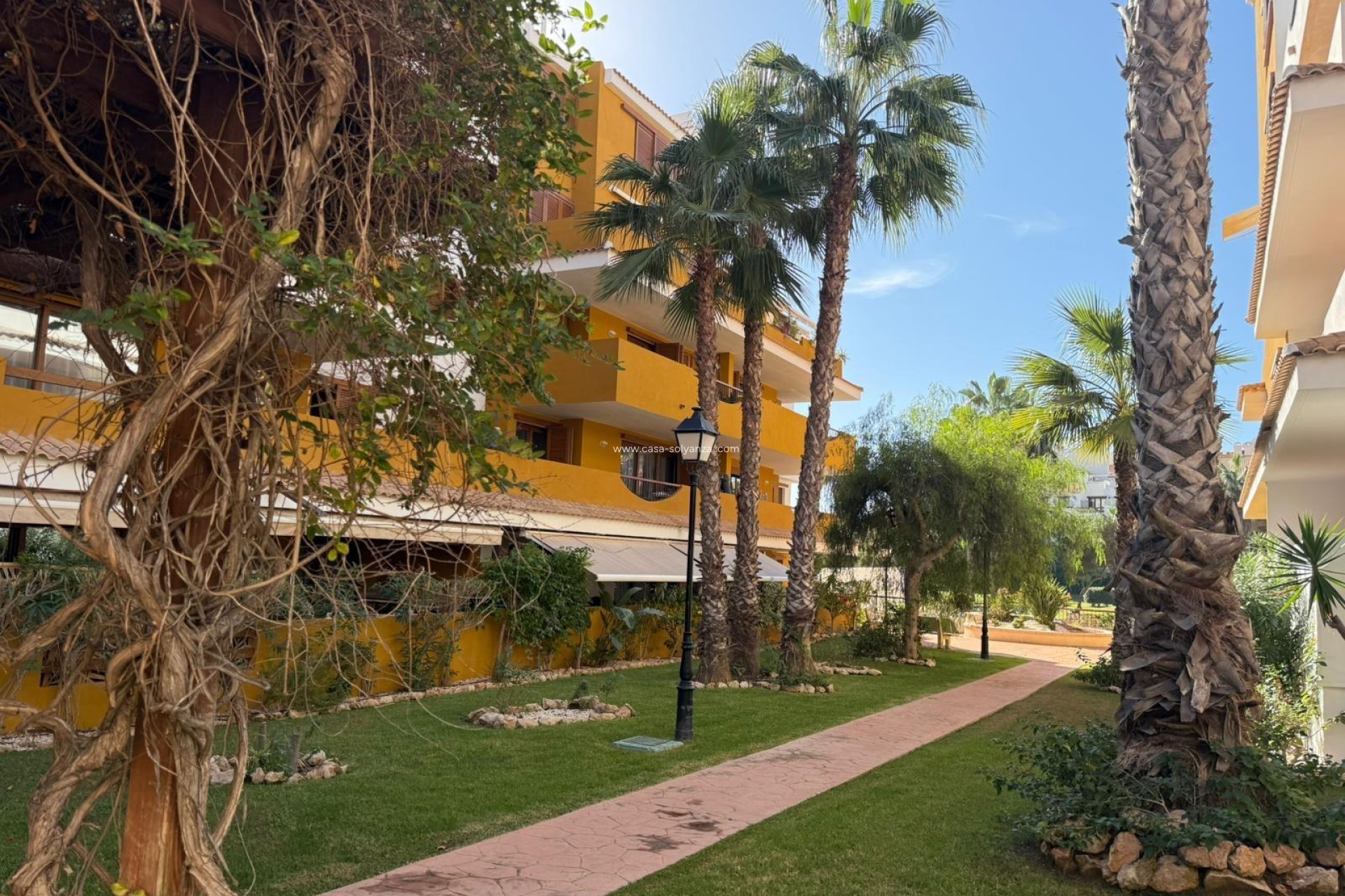 Revente - Appartement - Torrevieja - Punta Prima