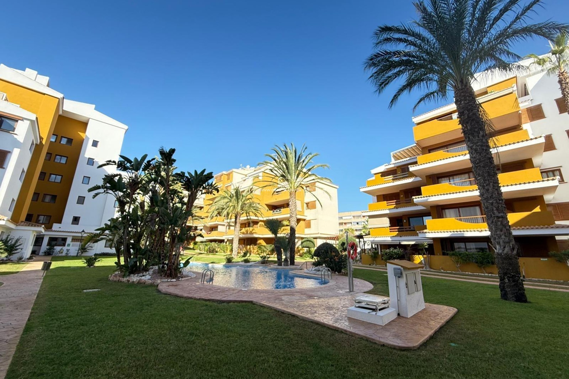 Revente - Appartement - Torrevieja - Punta Prima