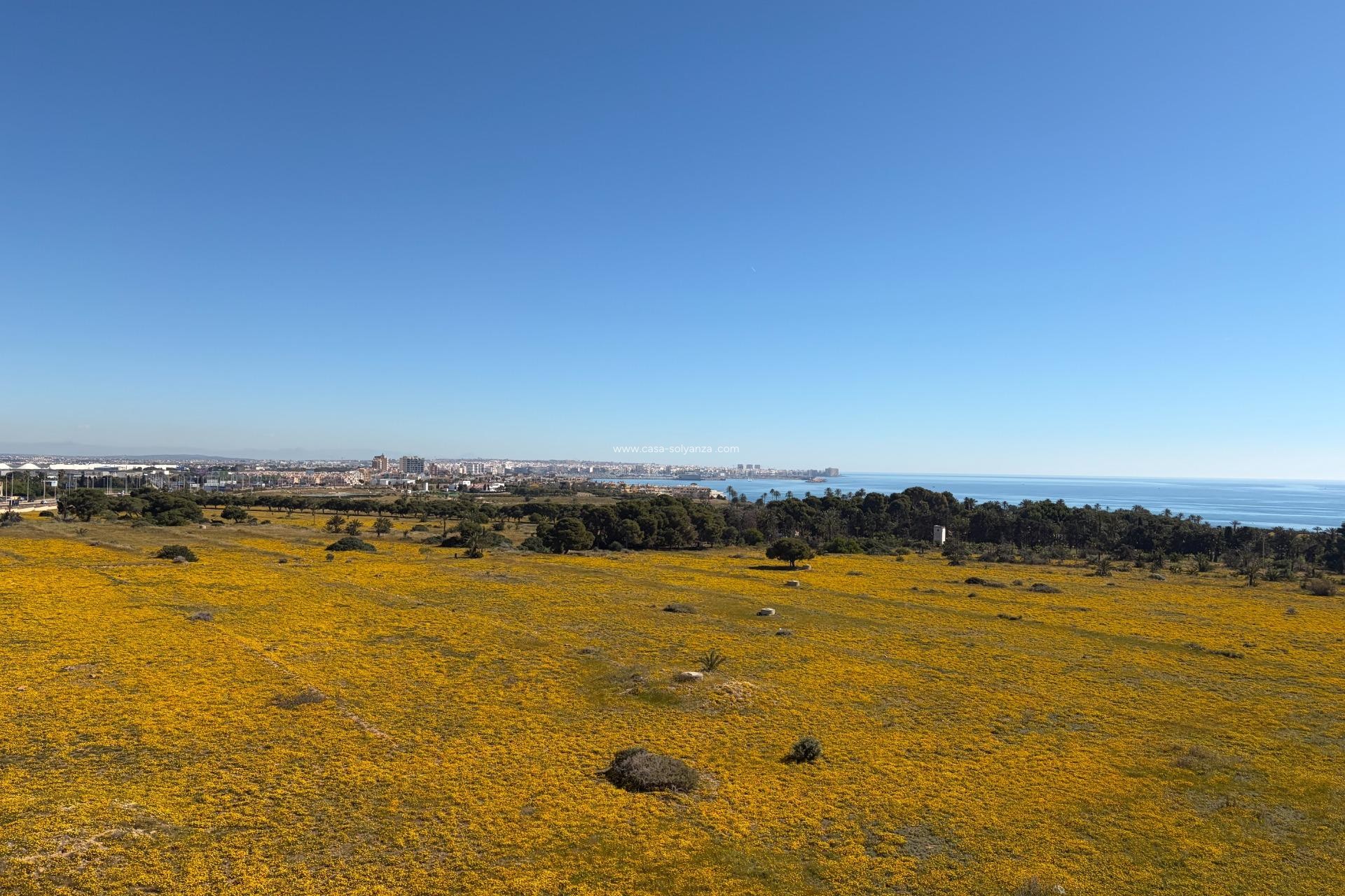 Revente - Appartement - Torrevieja - Punta Prima