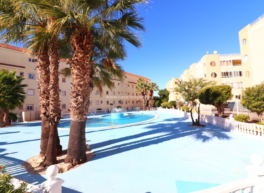 Revente - Appartement - Torrevieja - San Luis