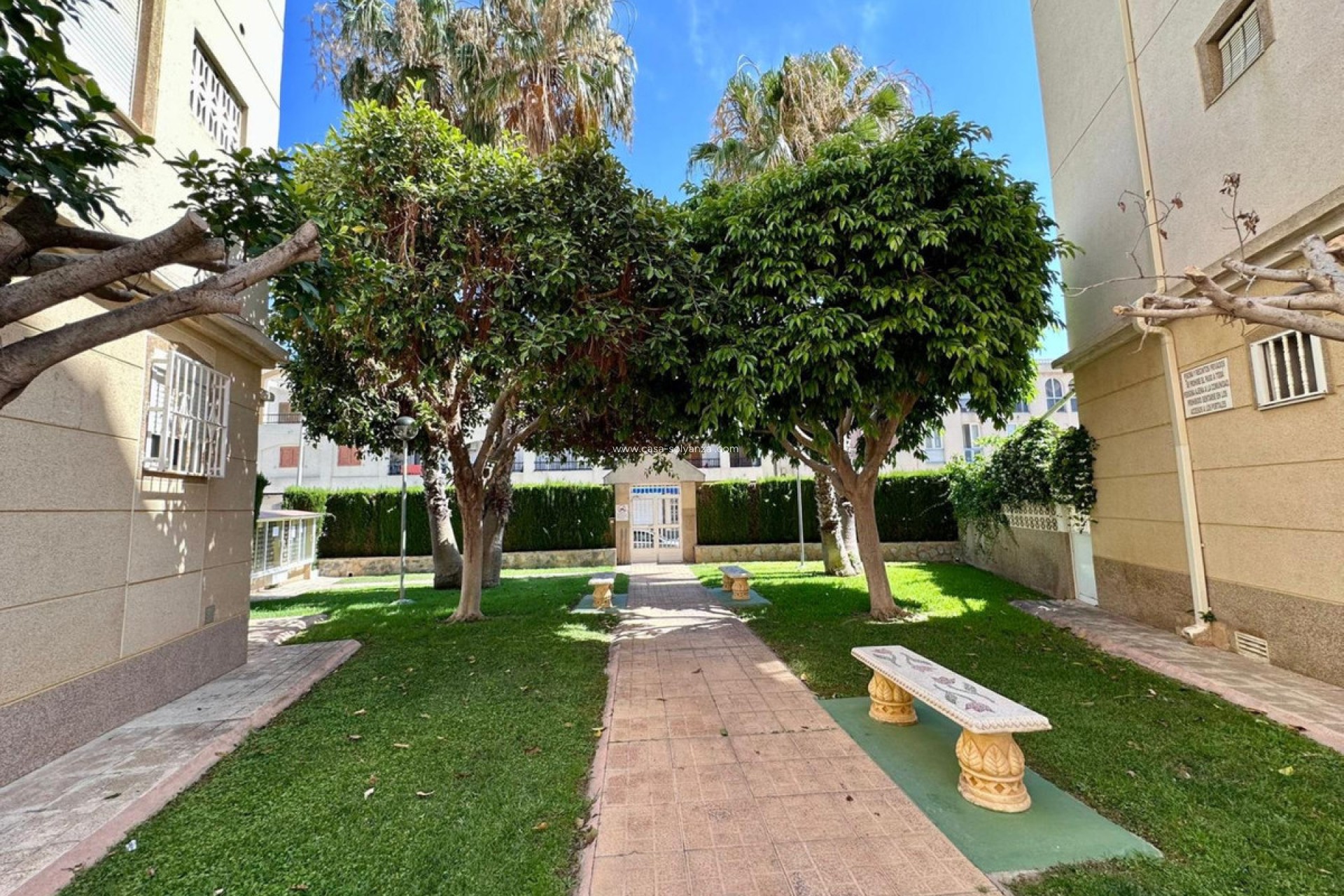 Revente - Appartement - Torrevieja - Torrevieja Centro