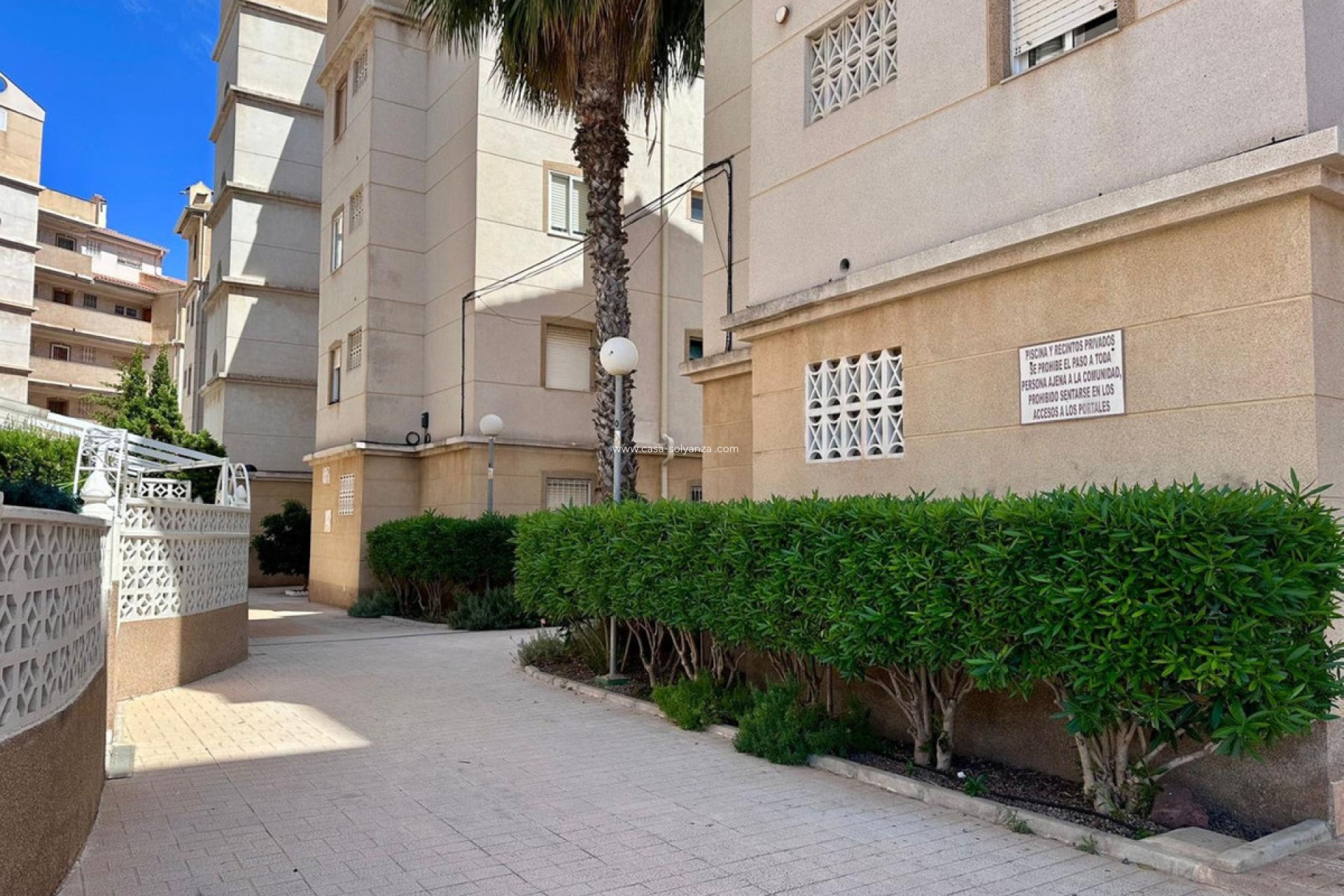 Revente - Appartement - Torrevieja - Torrevieja Centro