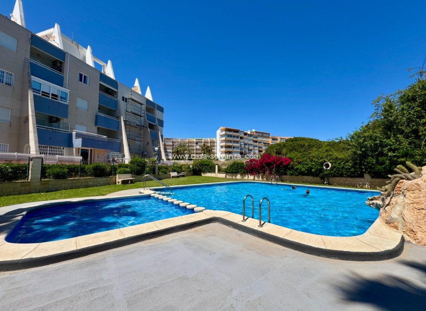 Revente - Appartement - Torrevieja - Torrevieja Centro