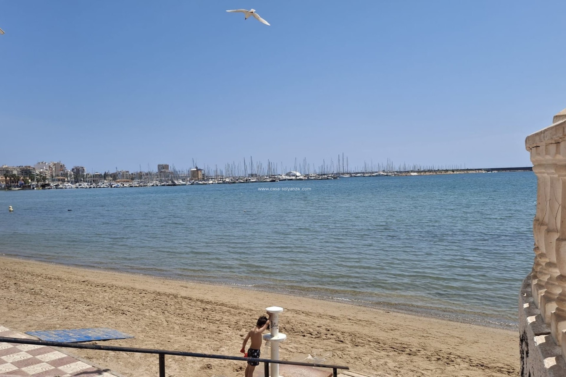 Revente - Appartement - Torrevieja - Torrevieja Centro