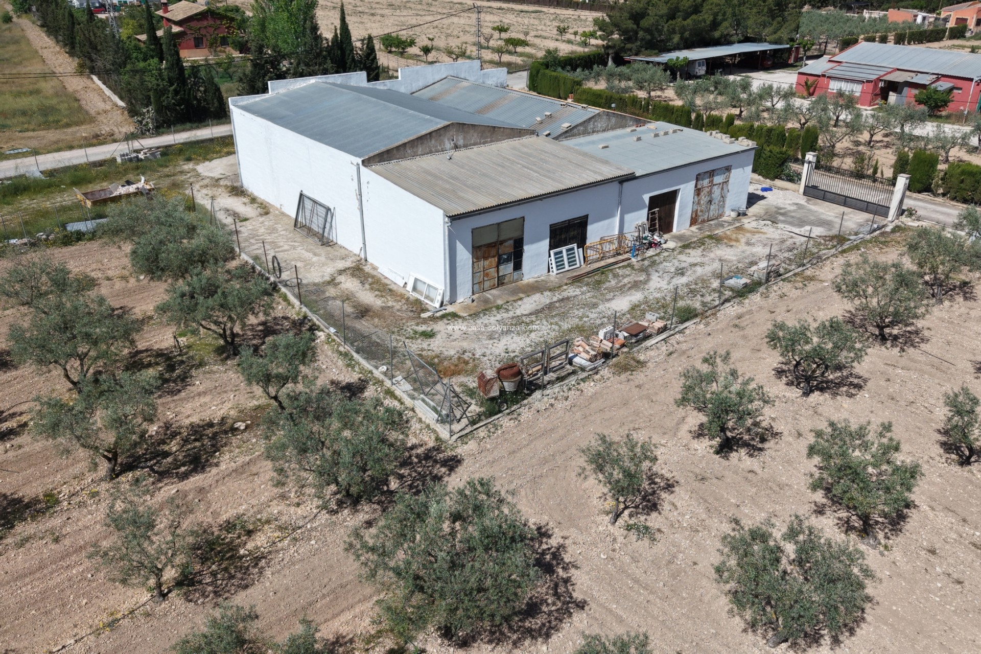 Revente - Appartement - Yecla