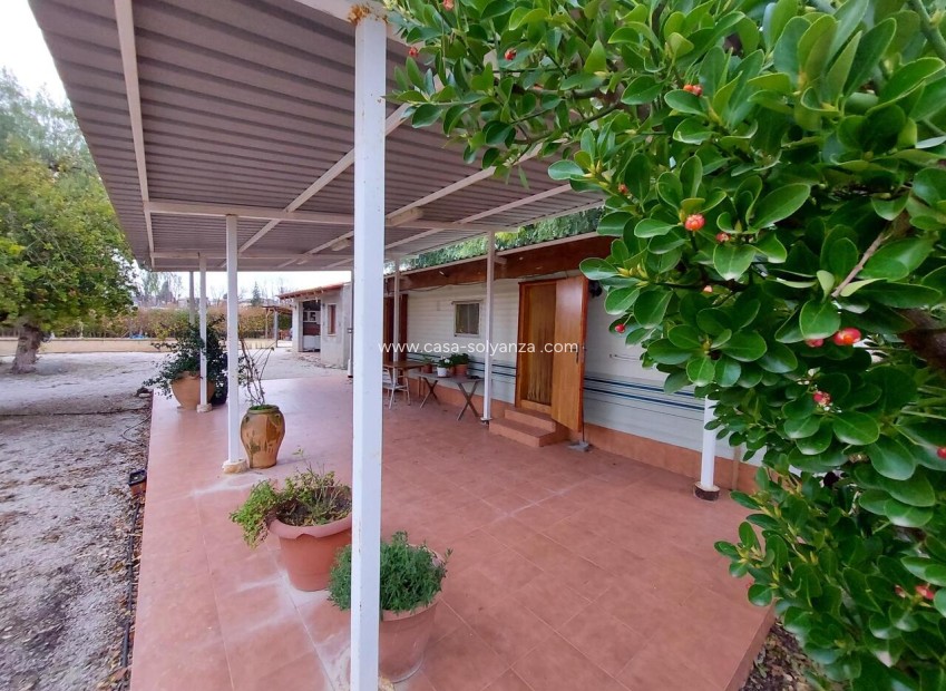 Revente - Bungalow - Calasparra - Inland