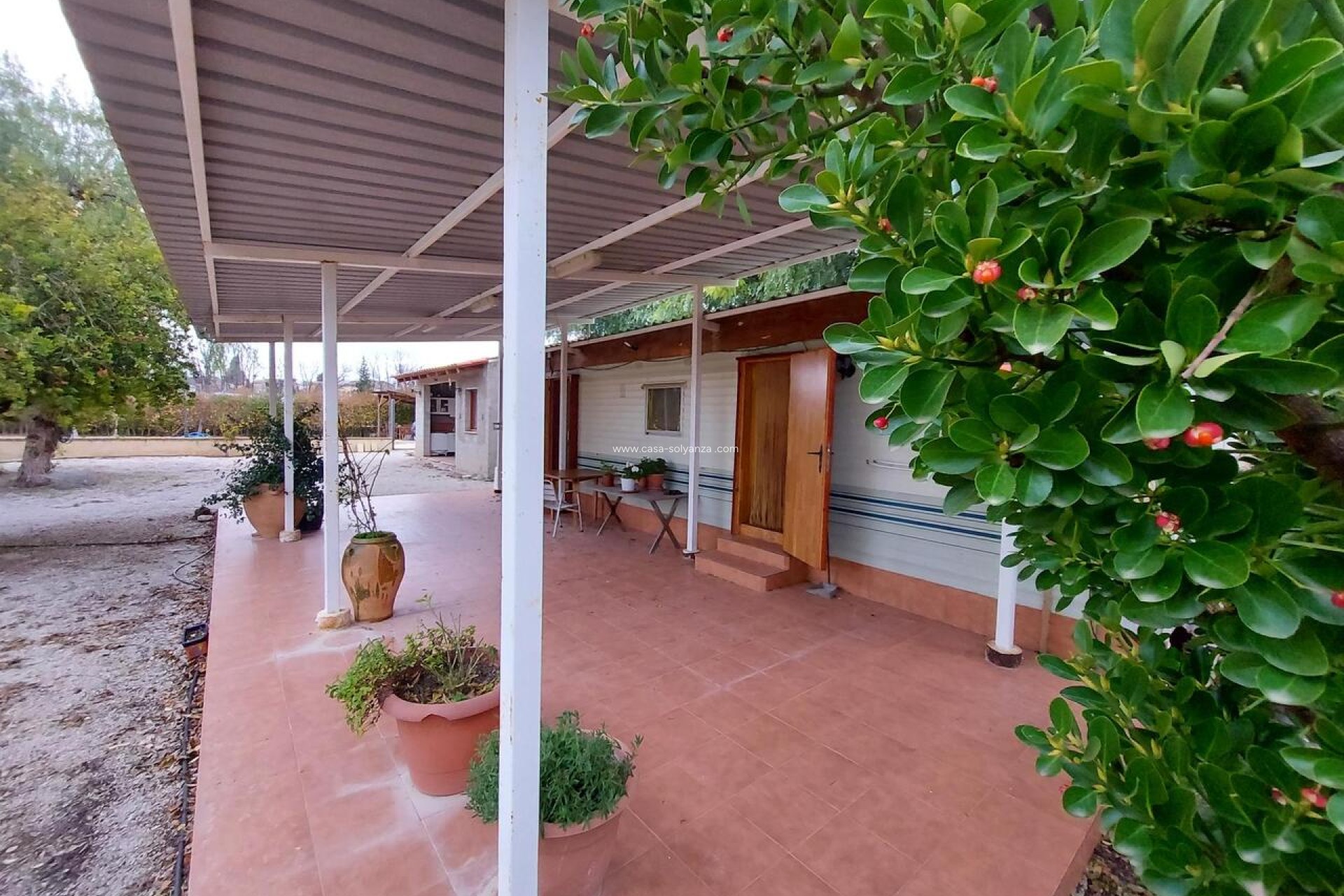 Revente - Bungalow - Calasparra - Inland