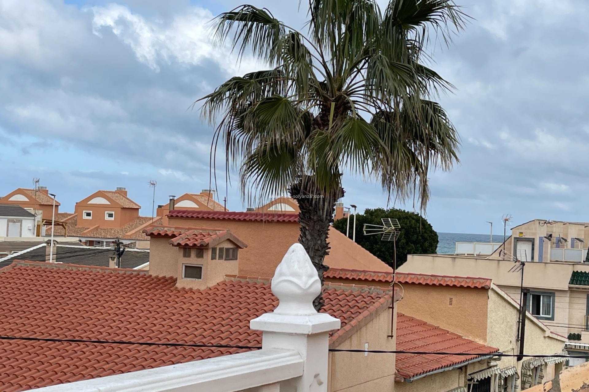 Revente - Bungalow - La Mata - Costa Blanca