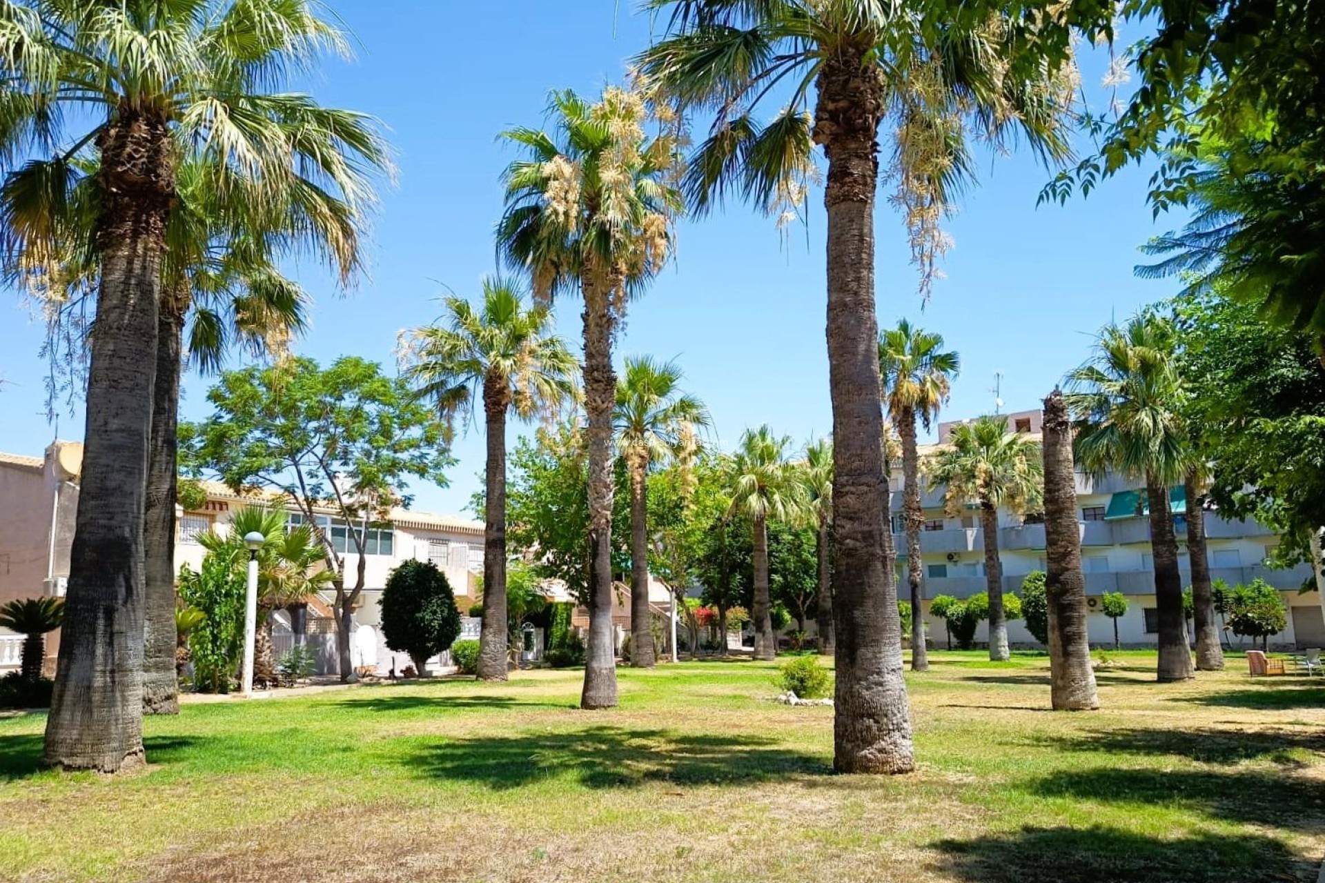 Revente - Bungalow - Orihuela Costa - Costa Blanca