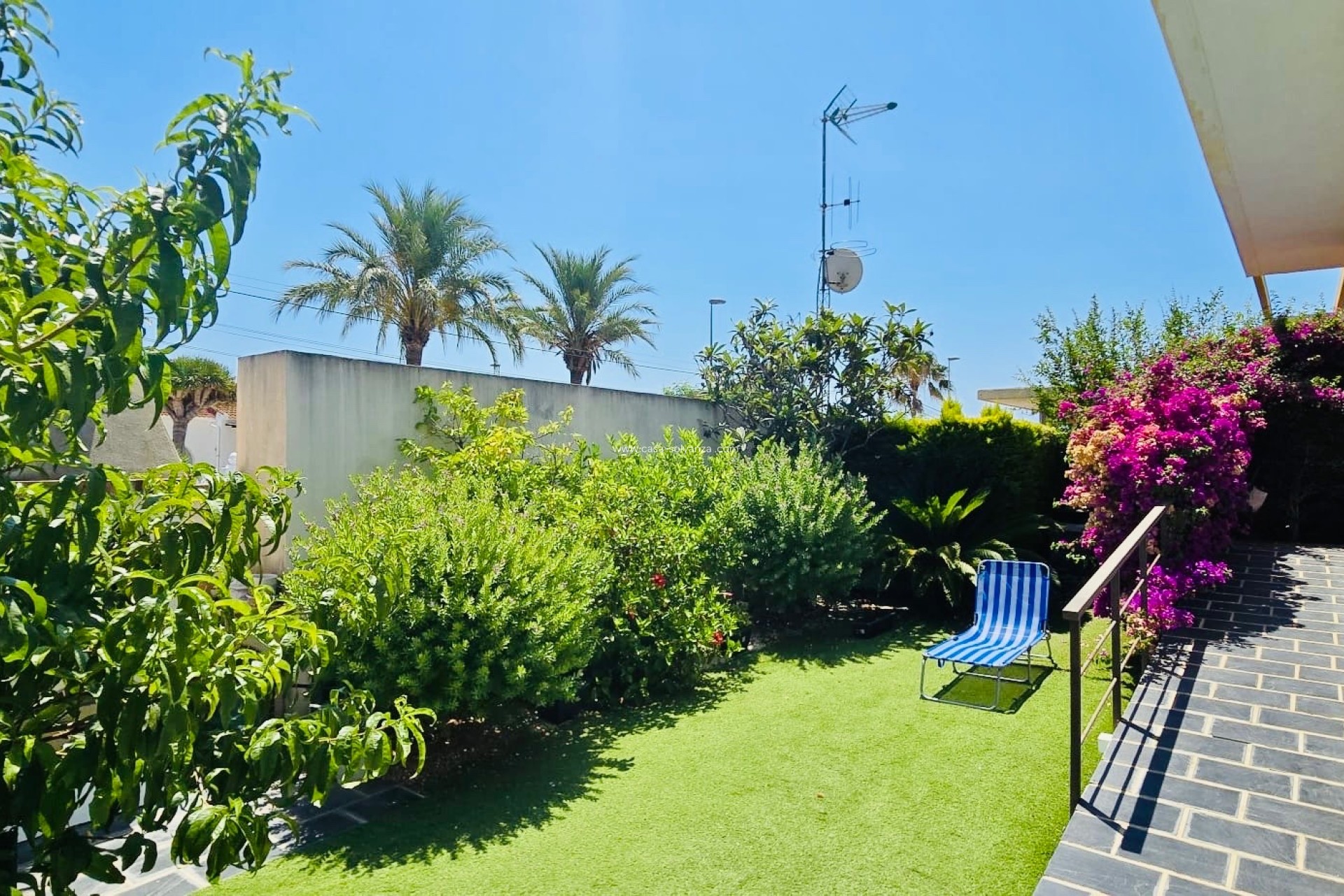 Revente - Bungalow - Pilar de la Horadada - Mil Palmeras