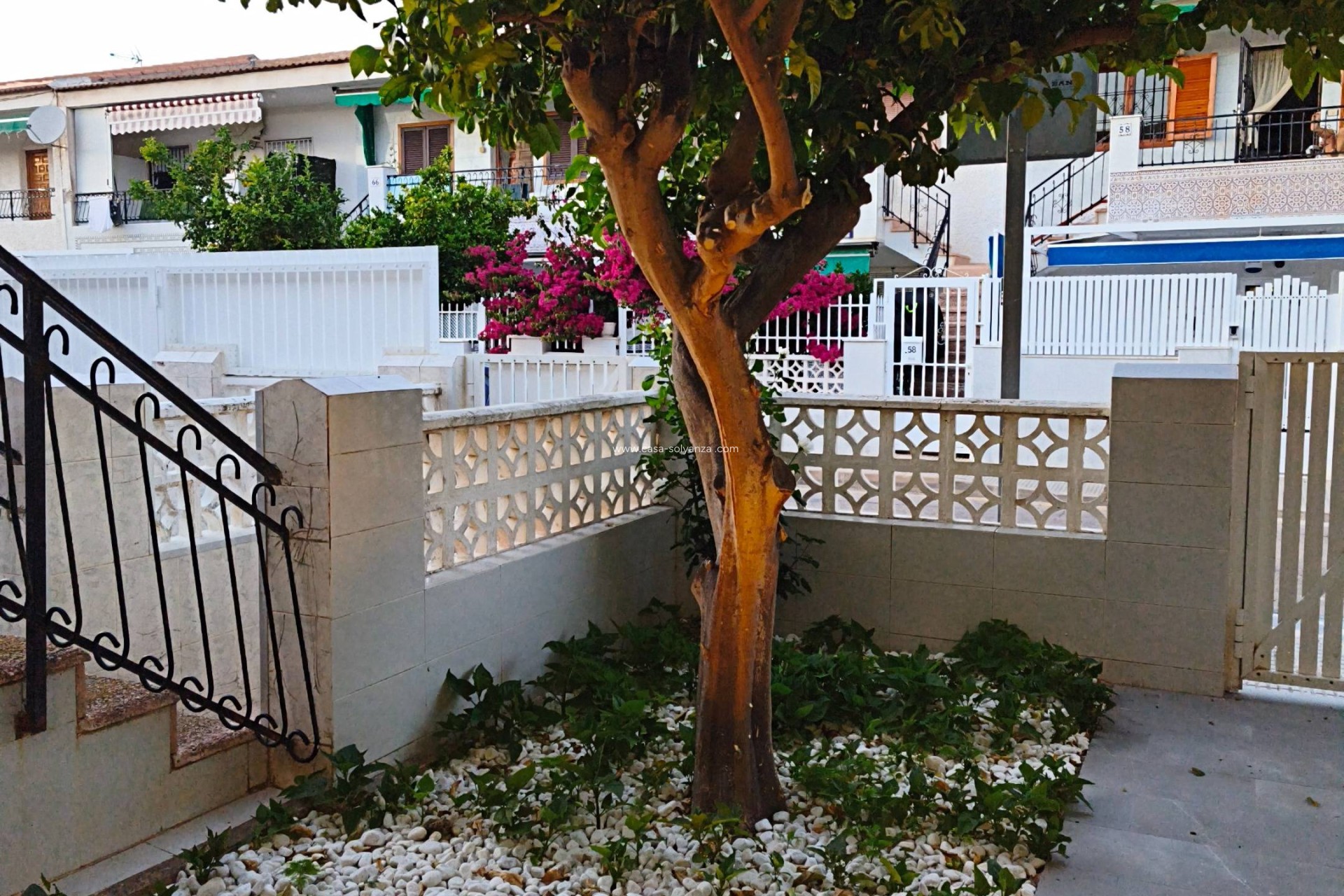 Revente - Bungalow - San Pedro del Pinatar - Lo pagan