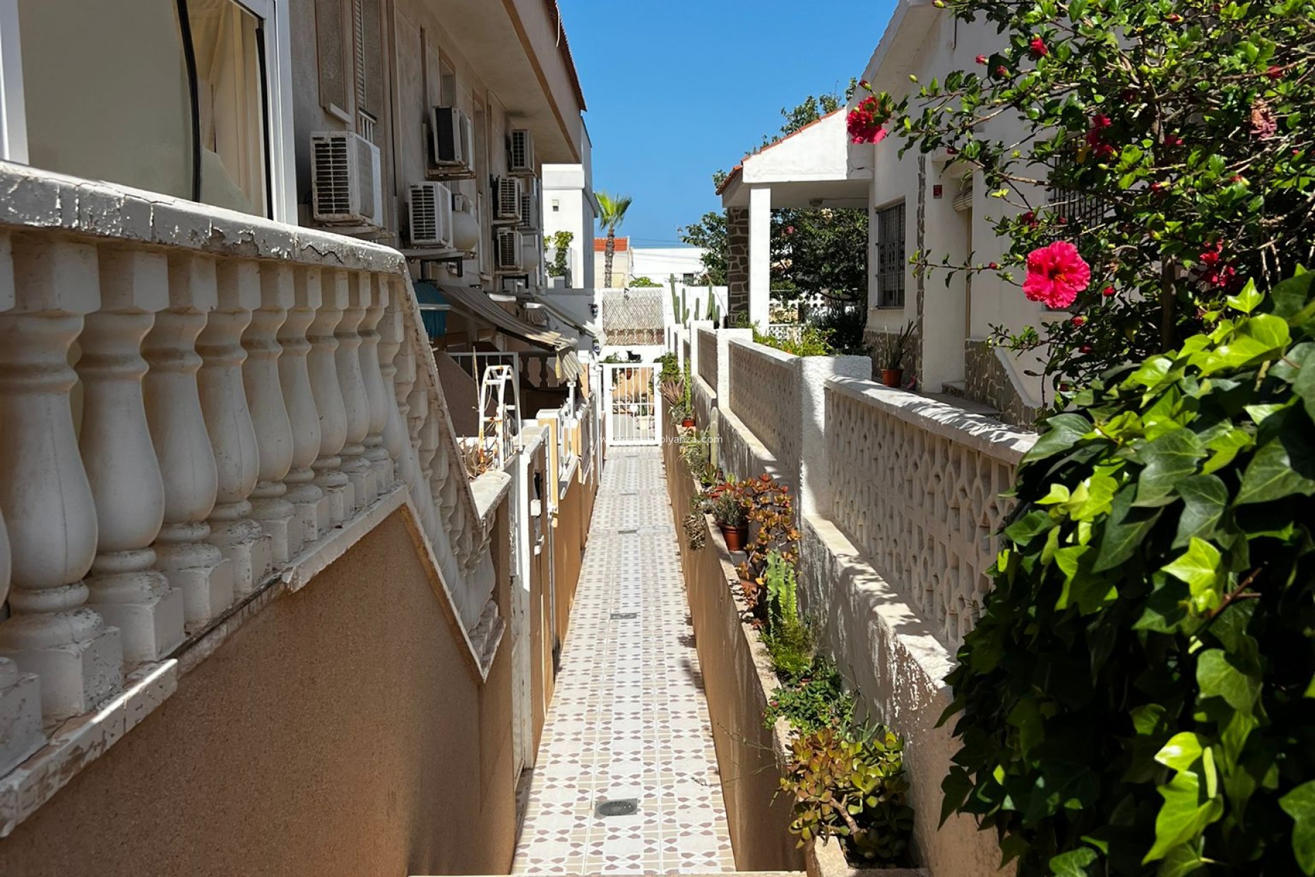 Revente - Bungalow - Torrevieja - 0