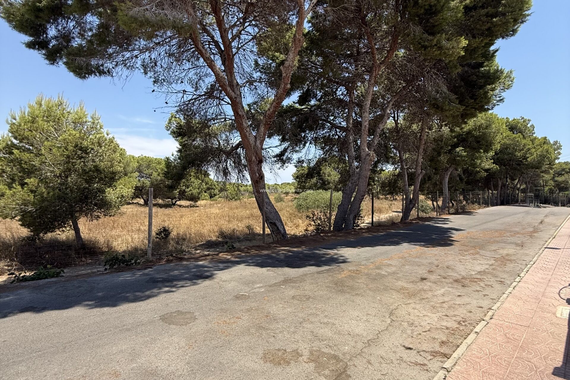 Revente - Bungalow - Torrevieja - 0